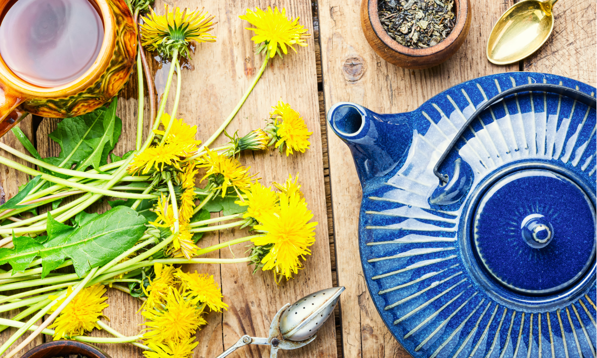 Bitterstoffe – Die unterschätzte Kraft für deine Gesundheit