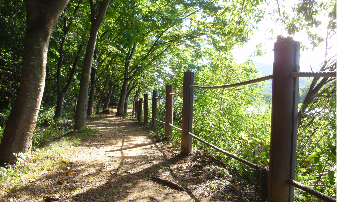 Welcher Ayurveda Typ bin ich?