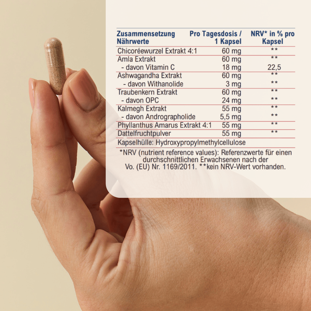 vedi up Nährwerttabelle mit Chicoréewurzel Amla Ashwagandha Traubenkern OPC Kalmegh Phyllanthus Amarus und Dattelfruchtpulver