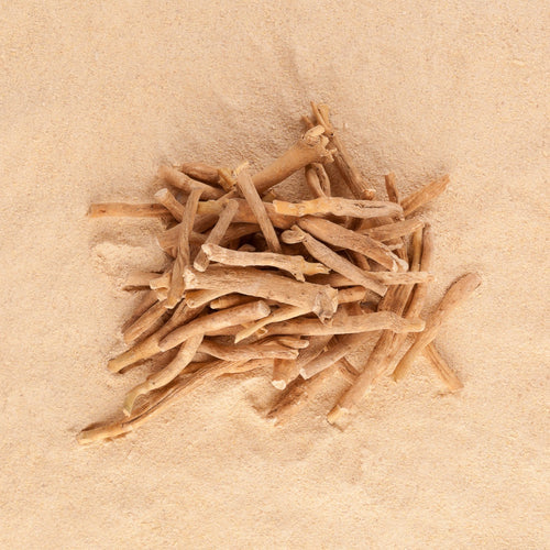 Ashwagandha: Wirkung und Anwendung der Schlafbeere