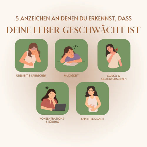 Fünf Anzeichen, dass deine Leber geschwächt ist: Lerne die Bedeutung der Lebergesundheit