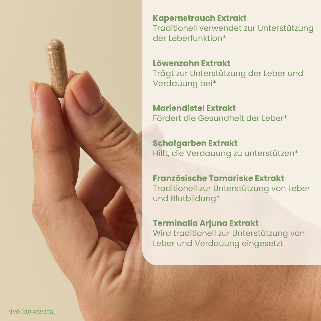 Leberkraft-Kur
