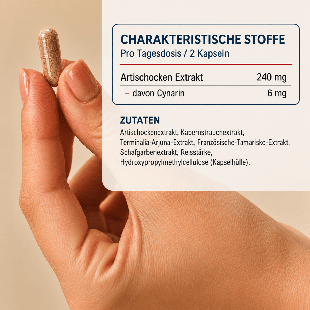 vedi ex Inhaltsstoffe – Artischocken-Extrakt 240mg und Kapernstrauch pro Tagesdosis, Hand hält eine vedi ex Kapsel